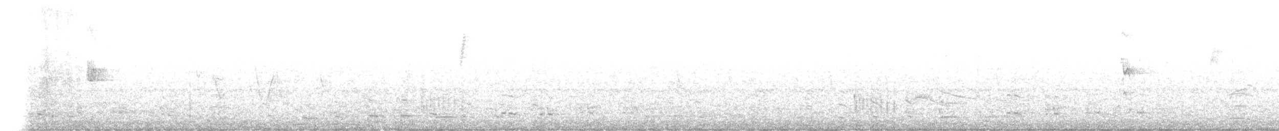 Black-legged Seriema - ML635762720