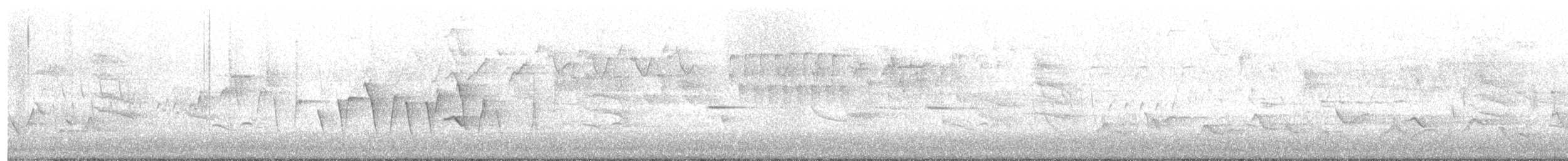 Connecticut Warbler - ML635763410