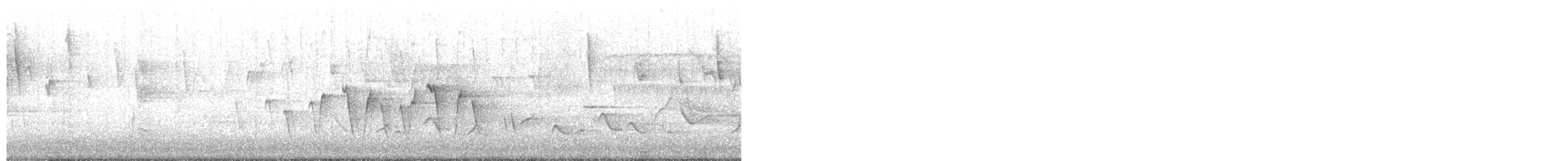 Connecticut Warbler - ML635763411