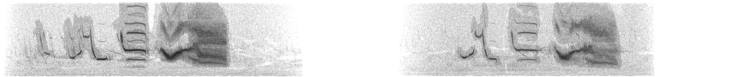 Long-tailed Meadowlark - ML635770996