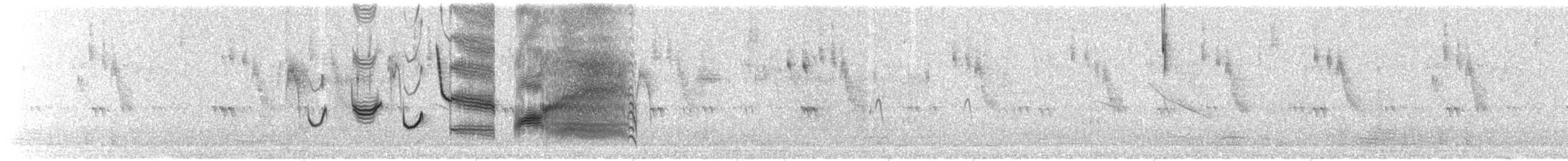 Long-tailed Meadowlark - ML635771260