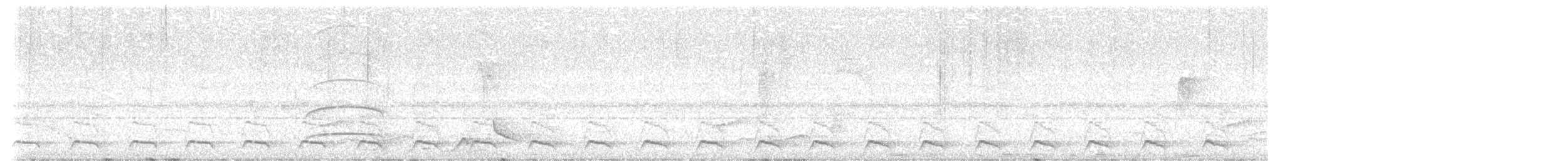 mørkhettetyrann (lawrenceii gr.) - ML635772281