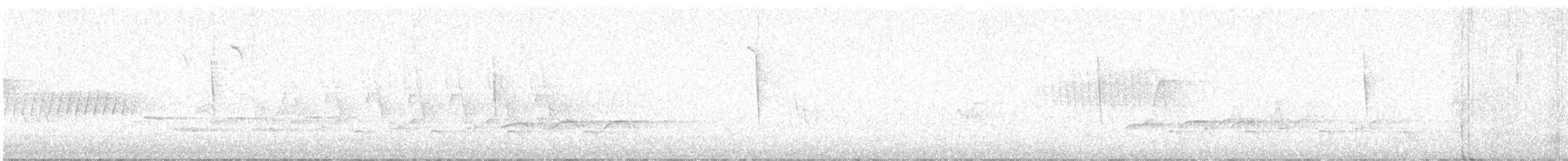 フタスジアメリカムシクイ - ML635773987