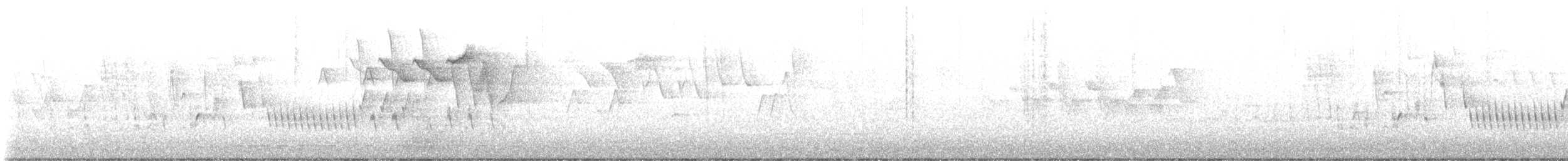 Northern House Wren - ML635774442