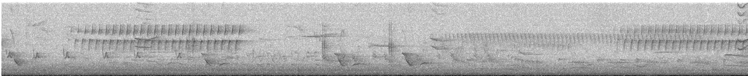 フタスジアメリカムシクイ - ML635777273