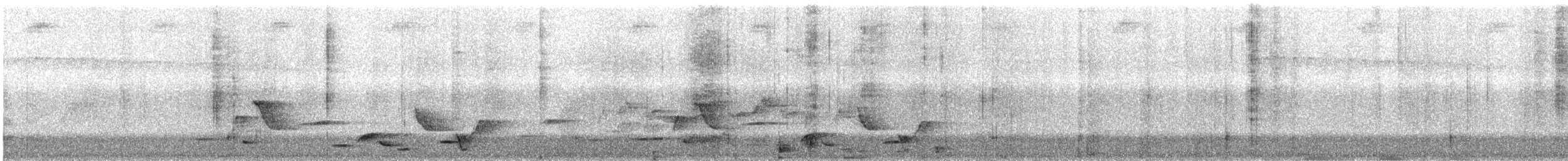 Whiskered Wren - ML635777667