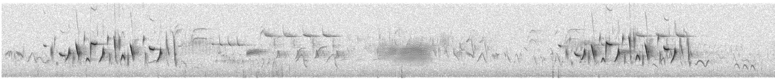 Bruant de Bell - ML635779394