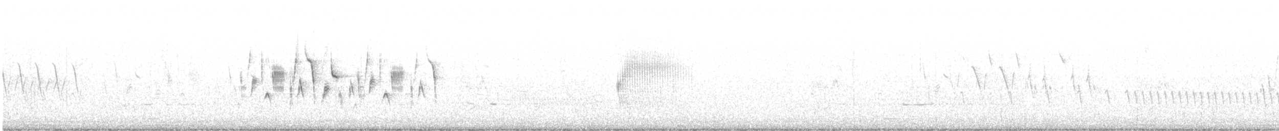 Bruant de Bell - ML635780548