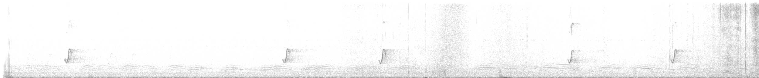 Australian Ringneck (Mallee) - ML635781803