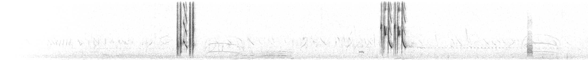 Brown-and-yellow Marshbird - ML635782526