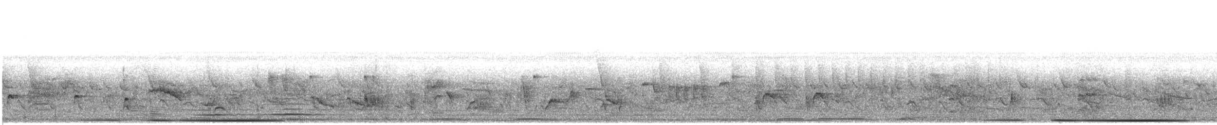 White-tipped Dove - ML635788627