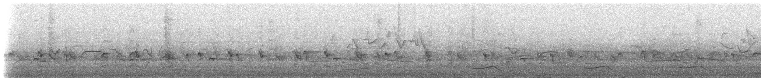 オニカッコウ - ML635789041