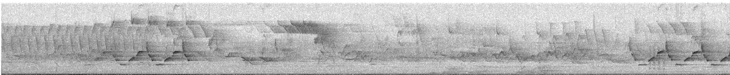 Carolina Wren - ML635789058