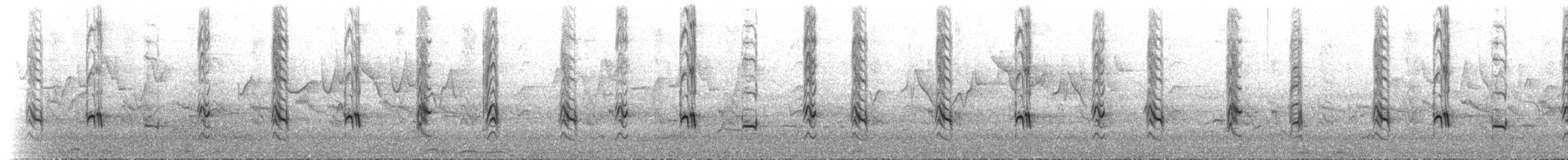 シロガシラクロヒヨドリ（psaroides グループ） - ML635789090