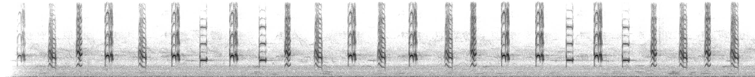 シロガシラクロヒヨドリ（psaroides グループ） - ML635789227