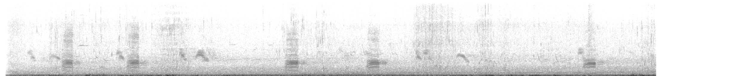 Stockente - ML635789662