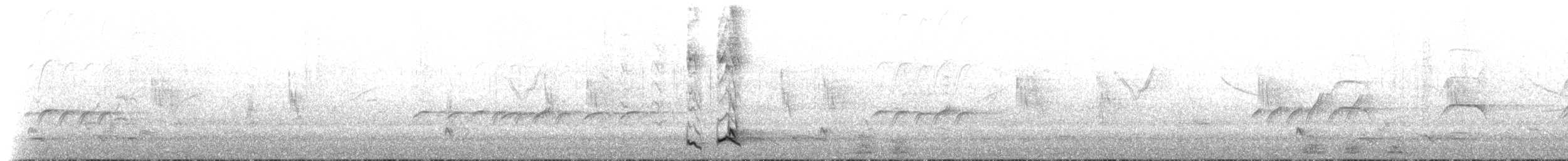 Cimitarra Carirrufa - ML635789766
