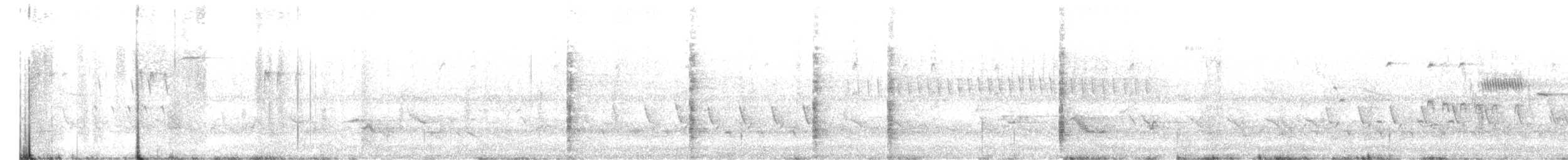 Clapper Rail (Atlantic Coast) - ML635790098