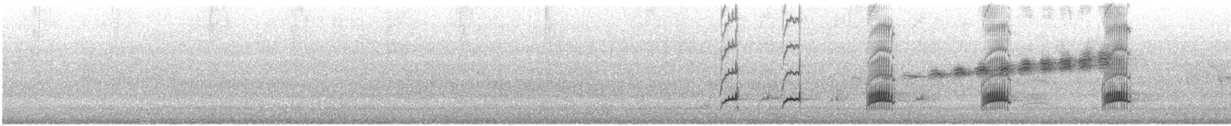 Great Crested Flycatcher - ML635792902