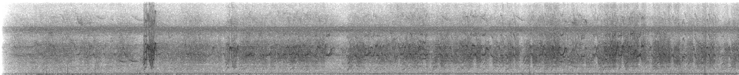 amazónek černouchý - ML635796826