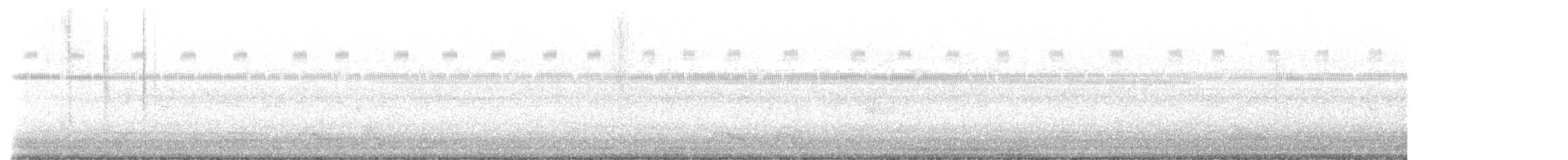 Chuck-will's-widow - ML635797641