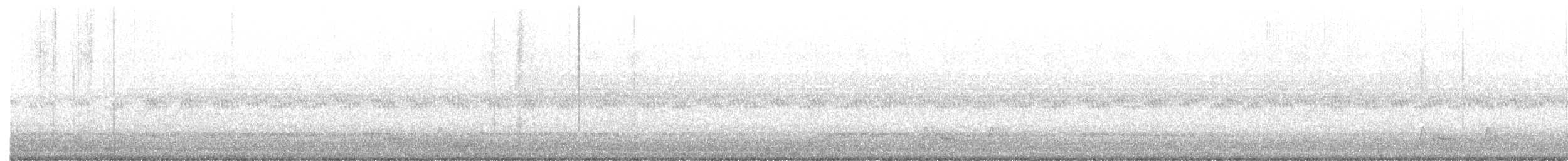 Chuck-will's-widow - ML635797642