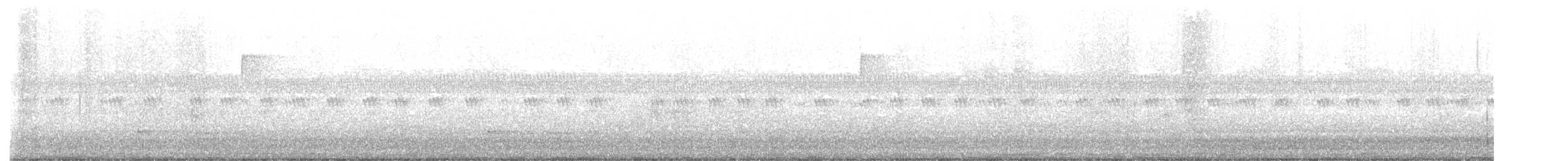 Chuck-will's-widow - ML635797740