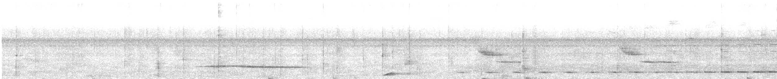 Short-tailed Antthrush - ML635798646