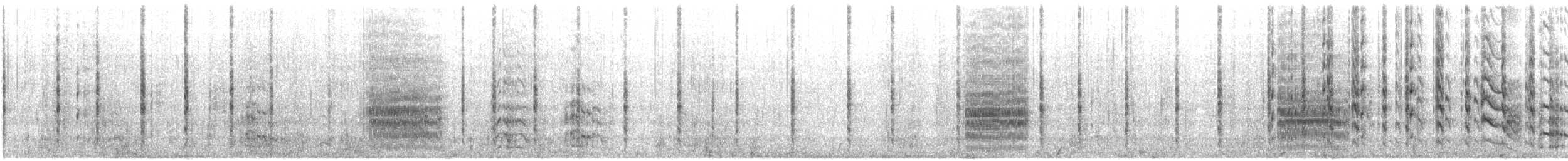 Forster's Tern - ML635798779