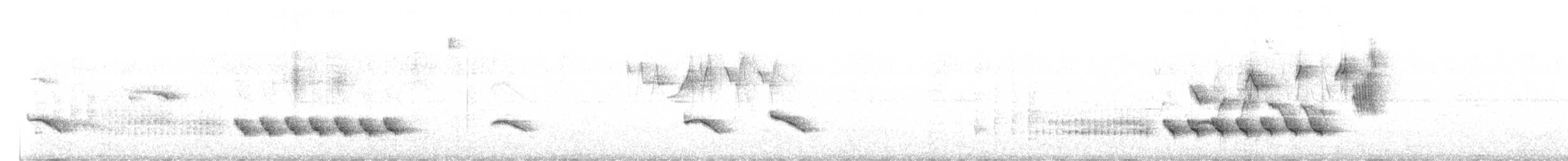 Long-billed Gnatwren - ML635798923