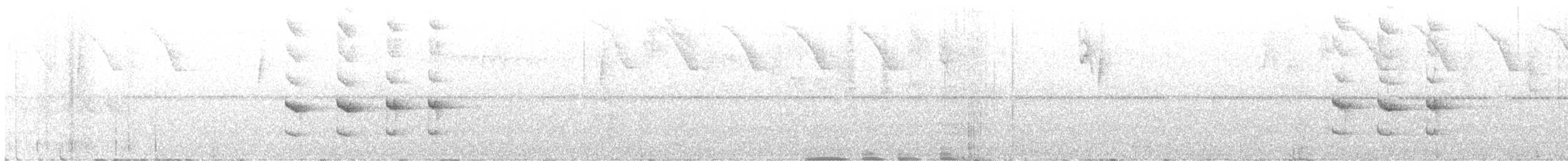 Western Woodhaunter - ML635799351