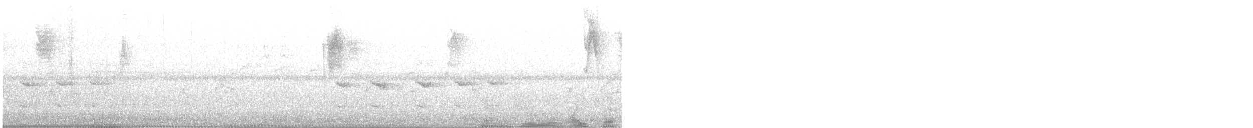 Silberkehltangare - ML635803814