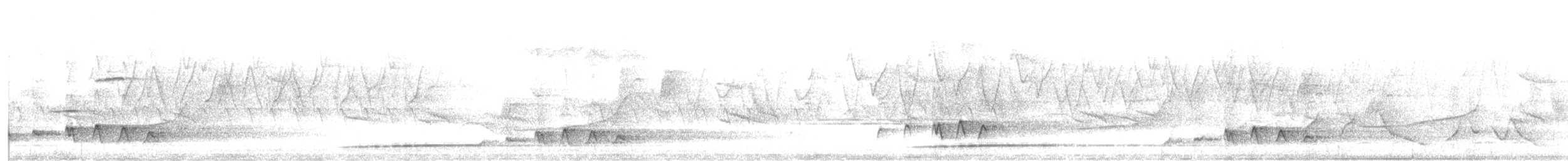 Lesser Cuckoo - ML635808150