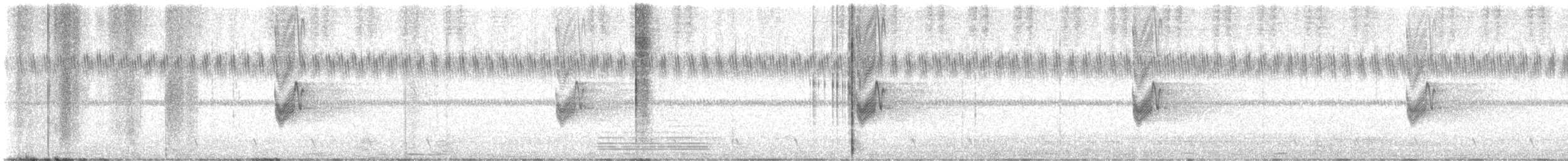 Savanna Nightjar - ML635809153