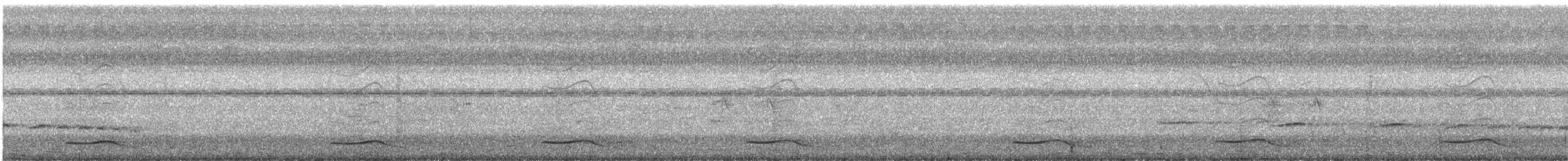 Asienkoel - ML635809154