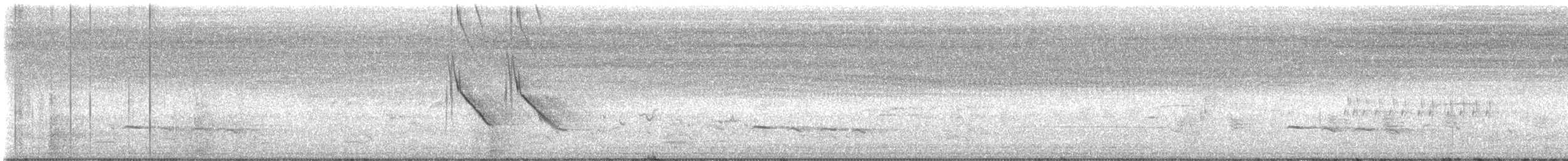 White-browed Wagtail - ML635809175