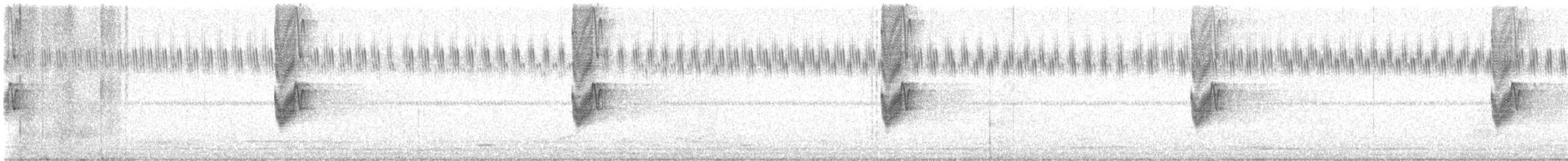 Savanna Nightjar - ML635809237