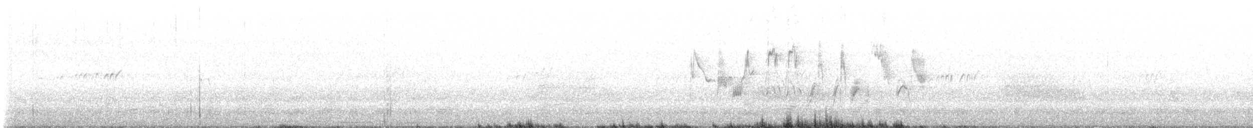 Japanese Wagtail - ML635810839