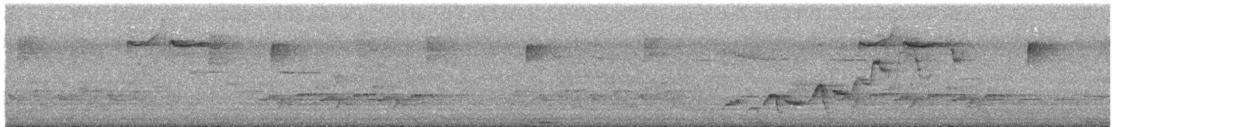 Tordo di Swainson - ML635812054