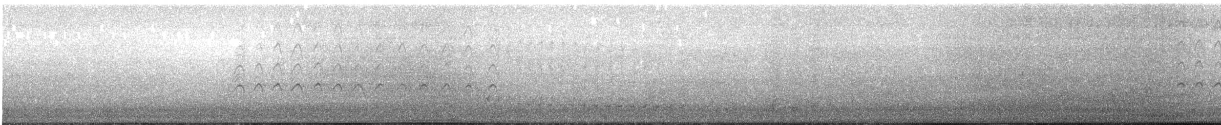 Crécerelle d'Australie - ML635812263