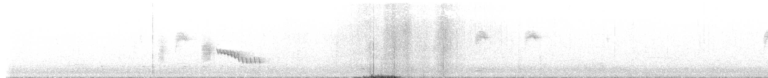 Striated Thornbill - ML635813590