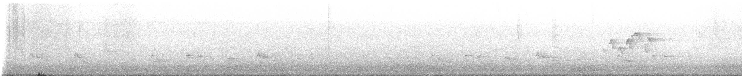 シロオビアメリカムシクイ - ML635813914