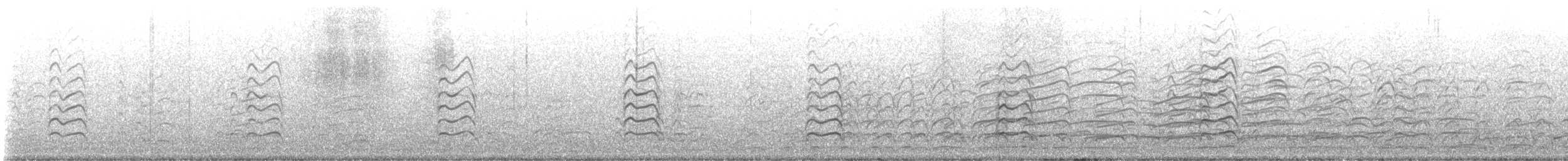 ワライカモメ - ML635814149