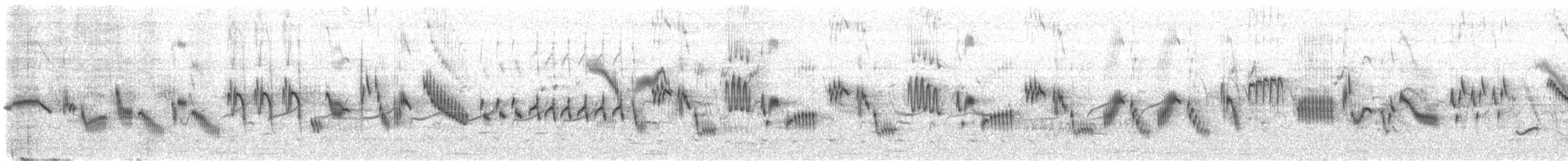 ヒバリ（arvensis グループ） - ML635814351