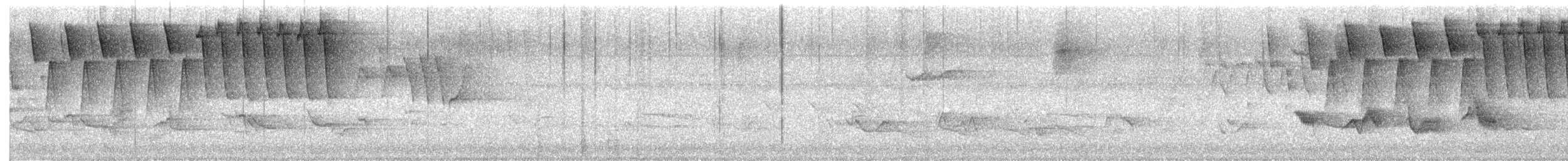 Paruline obscure - ML635814876