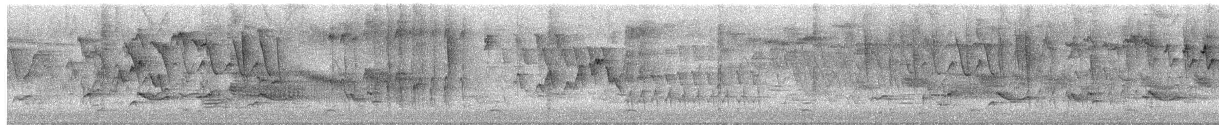 סבכון לבן-זנב - ML635815329