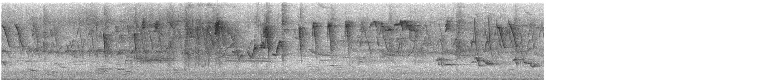 סבכון לבן-זנב - ML635815714