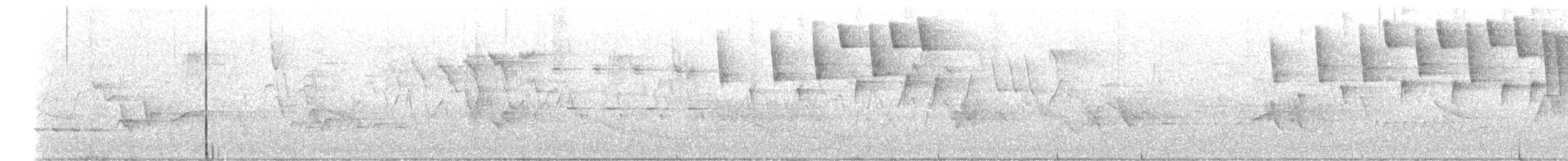 Tennessee Warbler - ML635816829