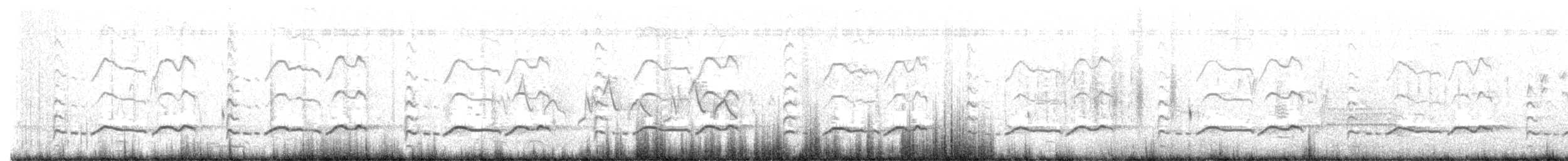Kuliska erdipalmatua - ML635817405