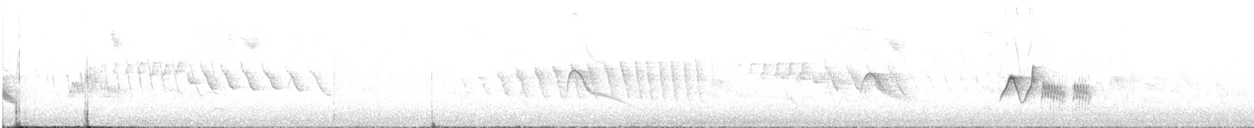 Caribbean Elaenia - ML635817468